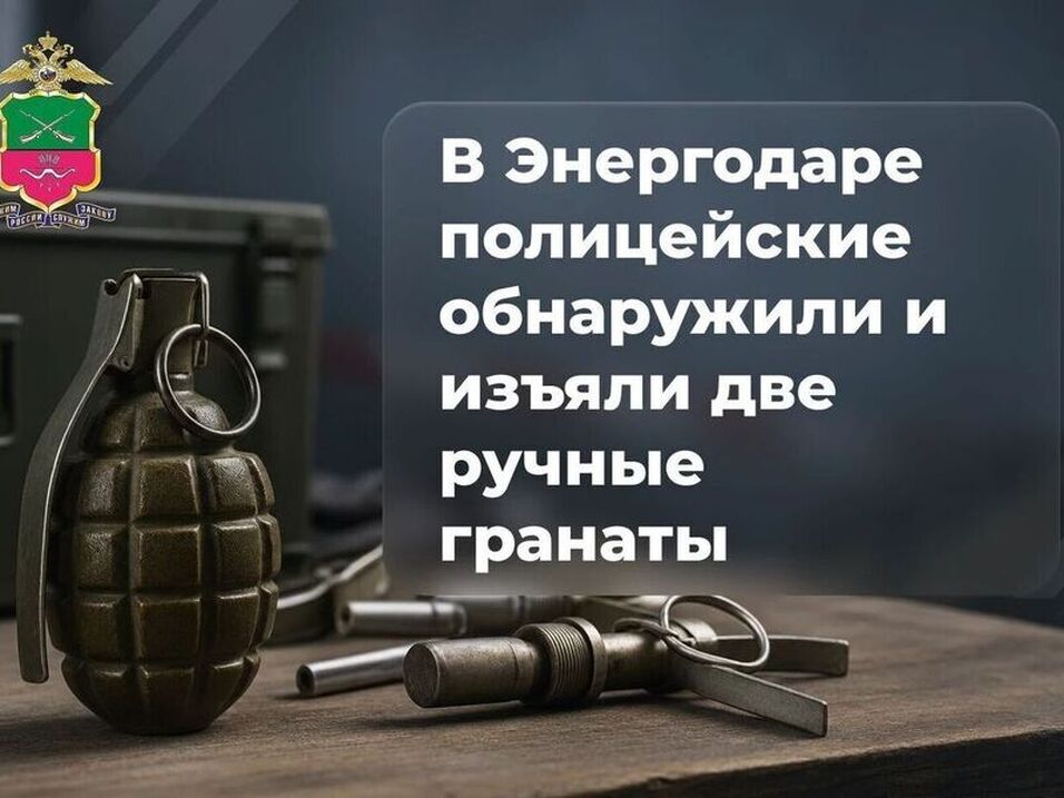 В Энергодаре изъяты две ручные гранаты в ходе спецоперации «Наёмник»