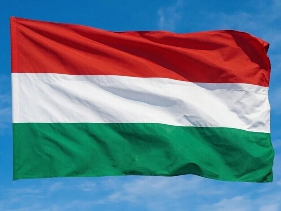 Венгерским дипломатам в Казани сказали уйти: 14‑дневный срок